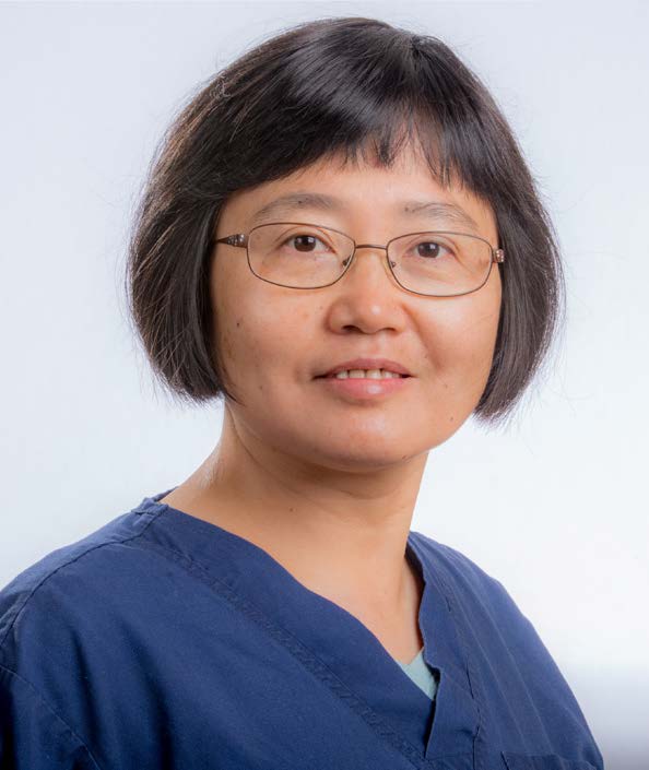 Mei Dong